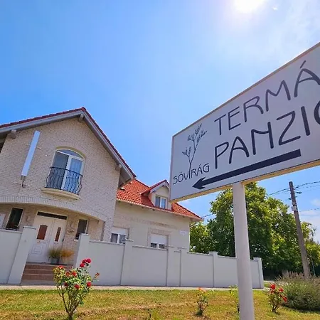 Guest house Sovirag Termal Panzio