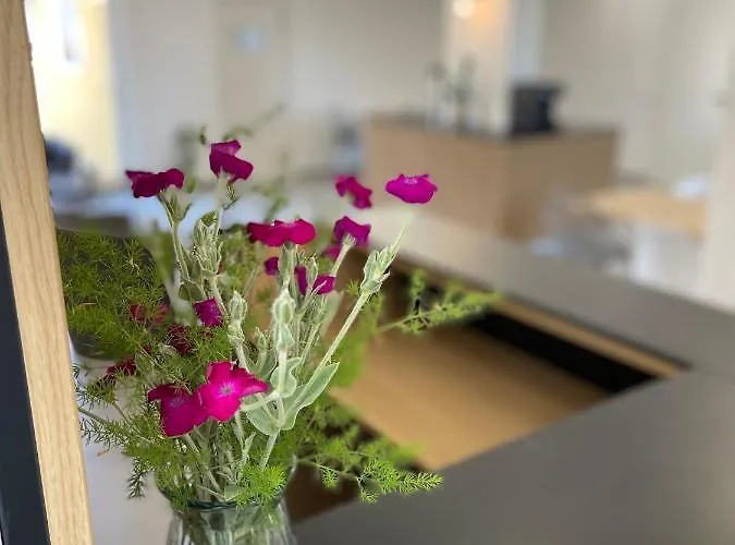 Sovirag Termal Panzio Guest house Hajdunanas